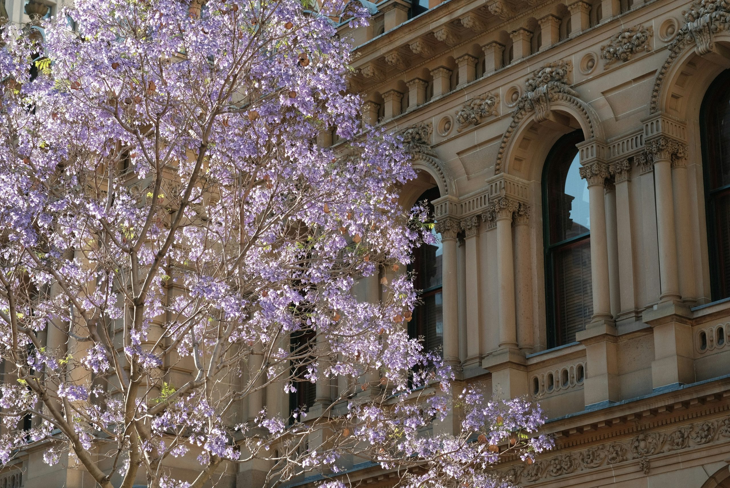 Lawyer reviewing freedom of information request documents